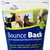 Manna Pro Bounce Back Electrolyte Supplement, 4 Pounds -Pet Supplies Store 001430 35786.1500584543