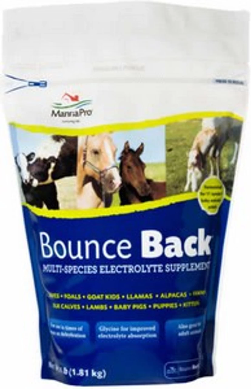 Manna Pro Bounce Back Electrolyte Supplement, 4 Pounds 3 Manna Pro Bounce Back Electrolyte Supplement, 4 Pounds