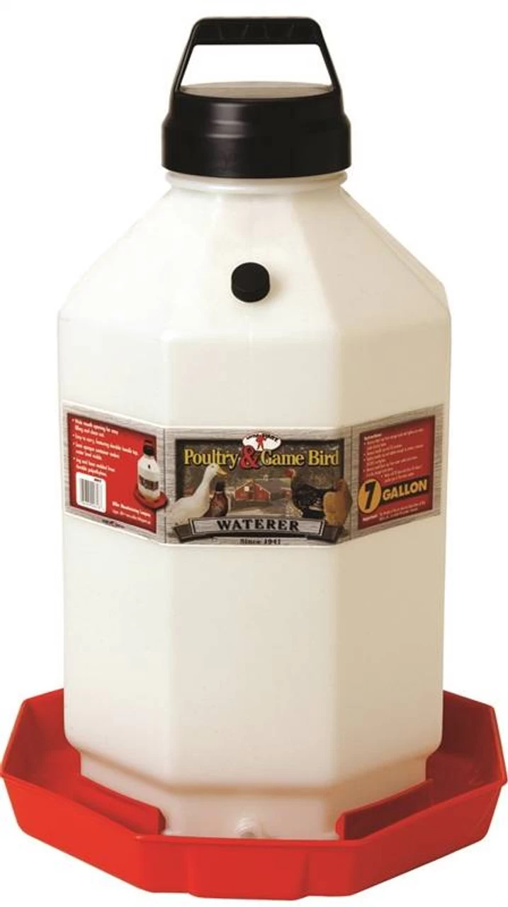 Little Giant Plastic Poultry Waterer 3 Little Giant Plastic Poultry Waterer