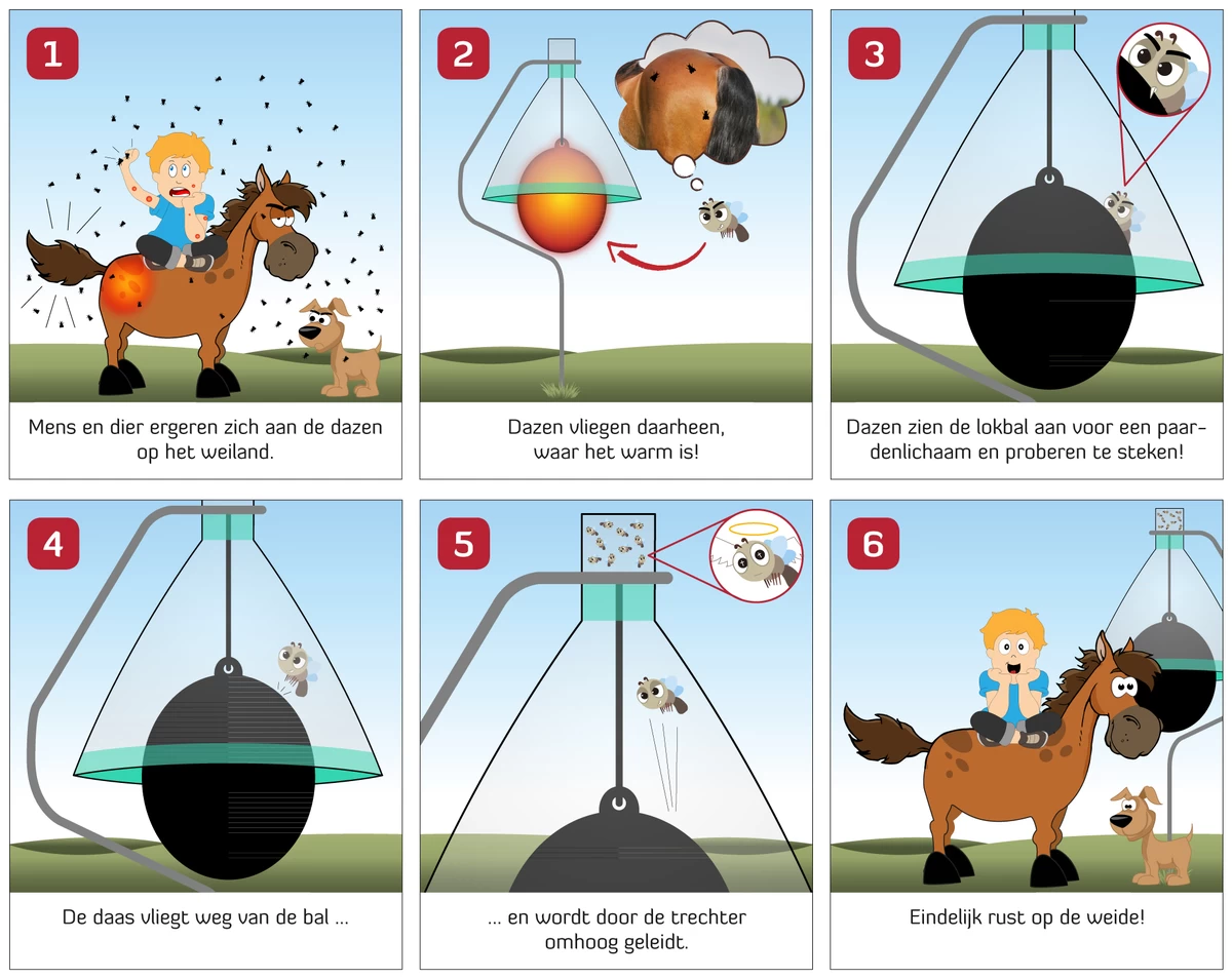 Dazenval Loer Trechter Los 3 Dazenval Loer Trechter Los