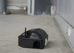 Plak-anker Voor Voerdoos Tweezijdig 25cm + Haak (set=10st) 8 Plak-anker Voor Voerdoos Tweezijdig 25cm + Haak (set=10st) -Pet Supplies Store 136176 1