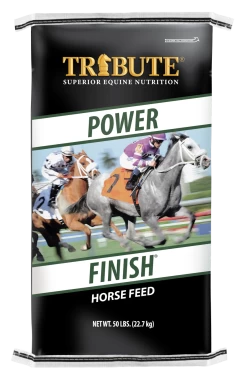 Kalmbach Feeds Tribute Power Finish Textured Horse Feed, 50lbs