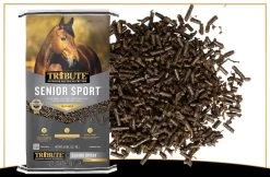 Kalmbach Feeds Tribute Senior Sport Textured Horse Feed, 50lbs -Pet Supplies Store 25699 4 83735.1677531627