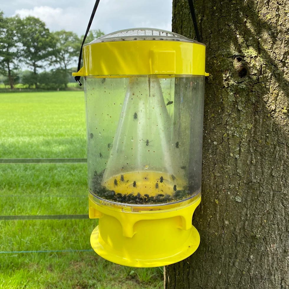 Knock Off Vliegenval XL 4 Knock Off Vliegenval XL - Image 2