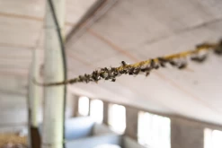 Knock Off Vliegensnoer Vervangingsrol 400 M -Pet Supplies Store 260724 1