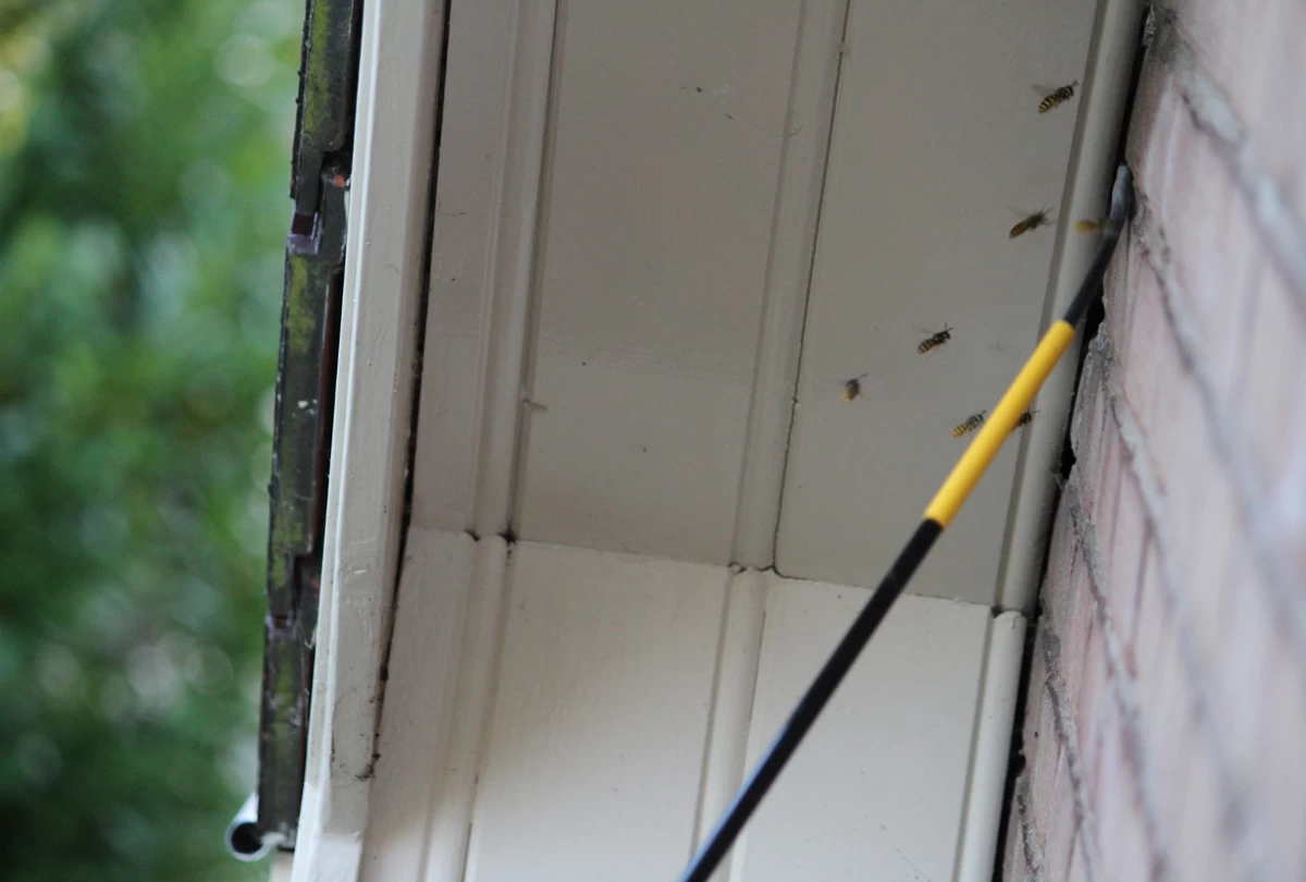 Birchmeier XL8 D Telescooplans 7 Meter 3 Birchmeier XL8 D Telescooplans 7 Meter