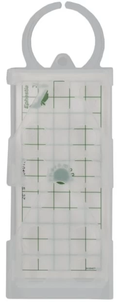 Geo Lijmplaat Levensmiddelenmot (Ephestia/Plodia) -Pet Supplies Store 263598