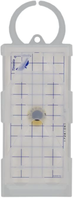 Geo Lijmplaat Kleermot (Tineola Bisselliella) 11 Geo Lijmplaat Kleermot (Tineola Bisselliella) -Pet Supplies Store 263614