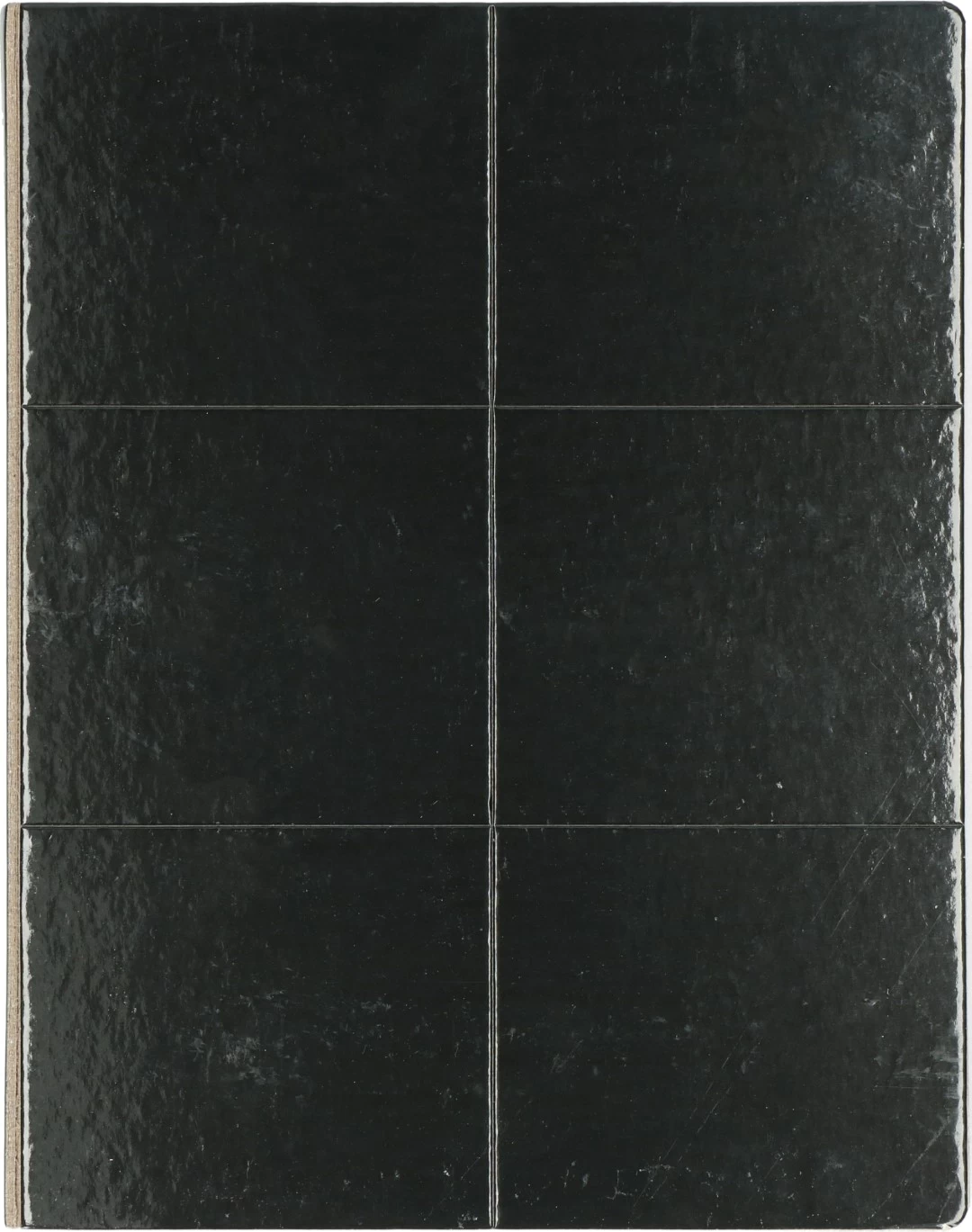 Insecten Lijmplaat Zwart 5 Insecten Lijmplaat Zwart - Image 3