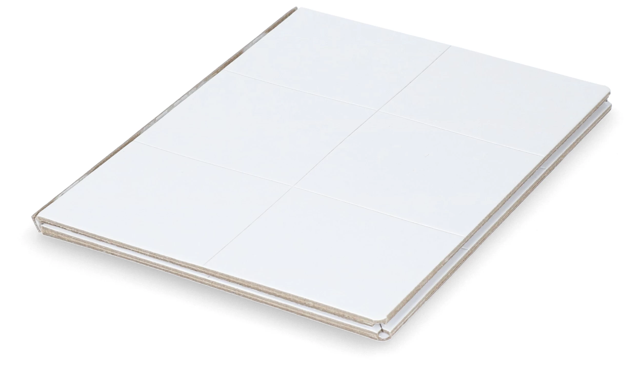 Insecten Lijmplaat Wit 5 Insecten Lijmplaat Wit - Image 3