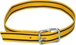 Koeriem Nylon 130 Cm Met Tonggesp