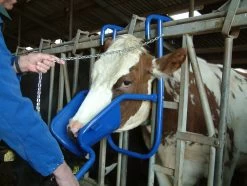 Kopheffer Vink -Pet Supplies Store 264913