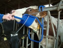 Kopheffer Vink -Pet Supplies Store 264917