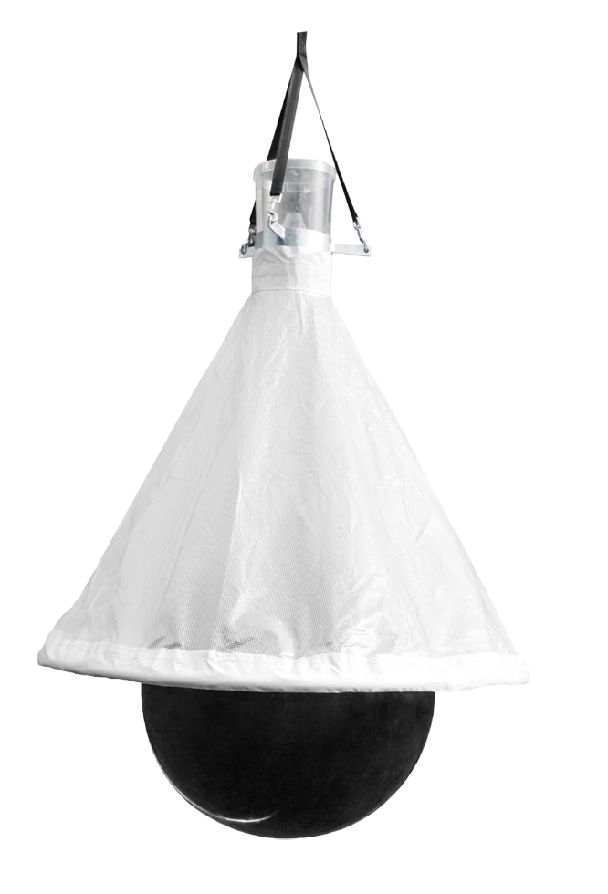 Dazen/wespen Val TaonX Mini 100m2 3 Dazen/wespen Val TaonX Mini 100m2