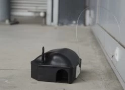 Plak-anker Voor Voerdoos Tweezijdig 25cm + Haak (set=10st) 10 Plak-anker Voor Voerdoos Tweezijdig 25cm + Haak (set=10st) -Pet Supplies Store 267382