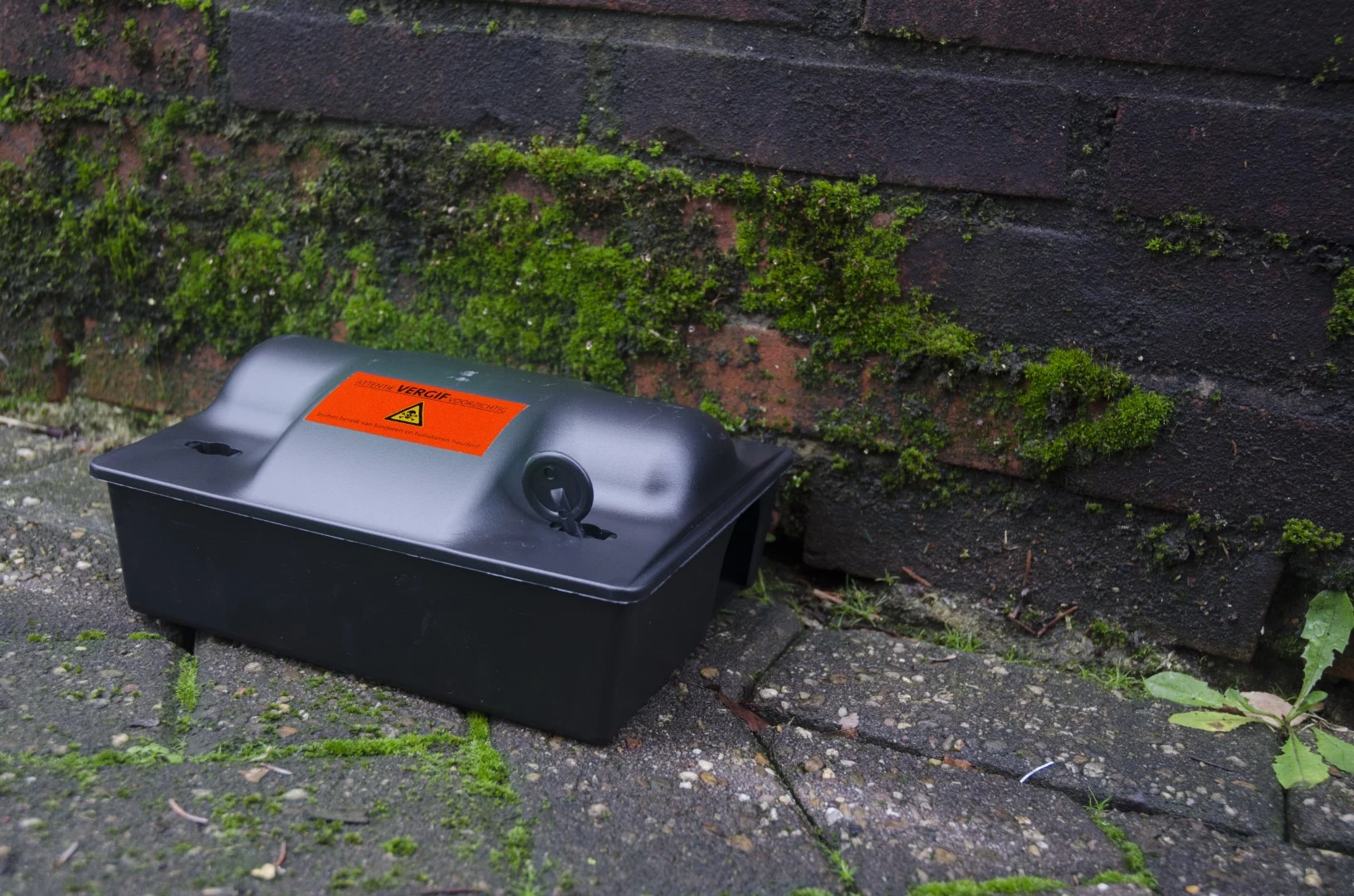 Sticker "Vergif" 5 Sticker "Vergif" - Image 3