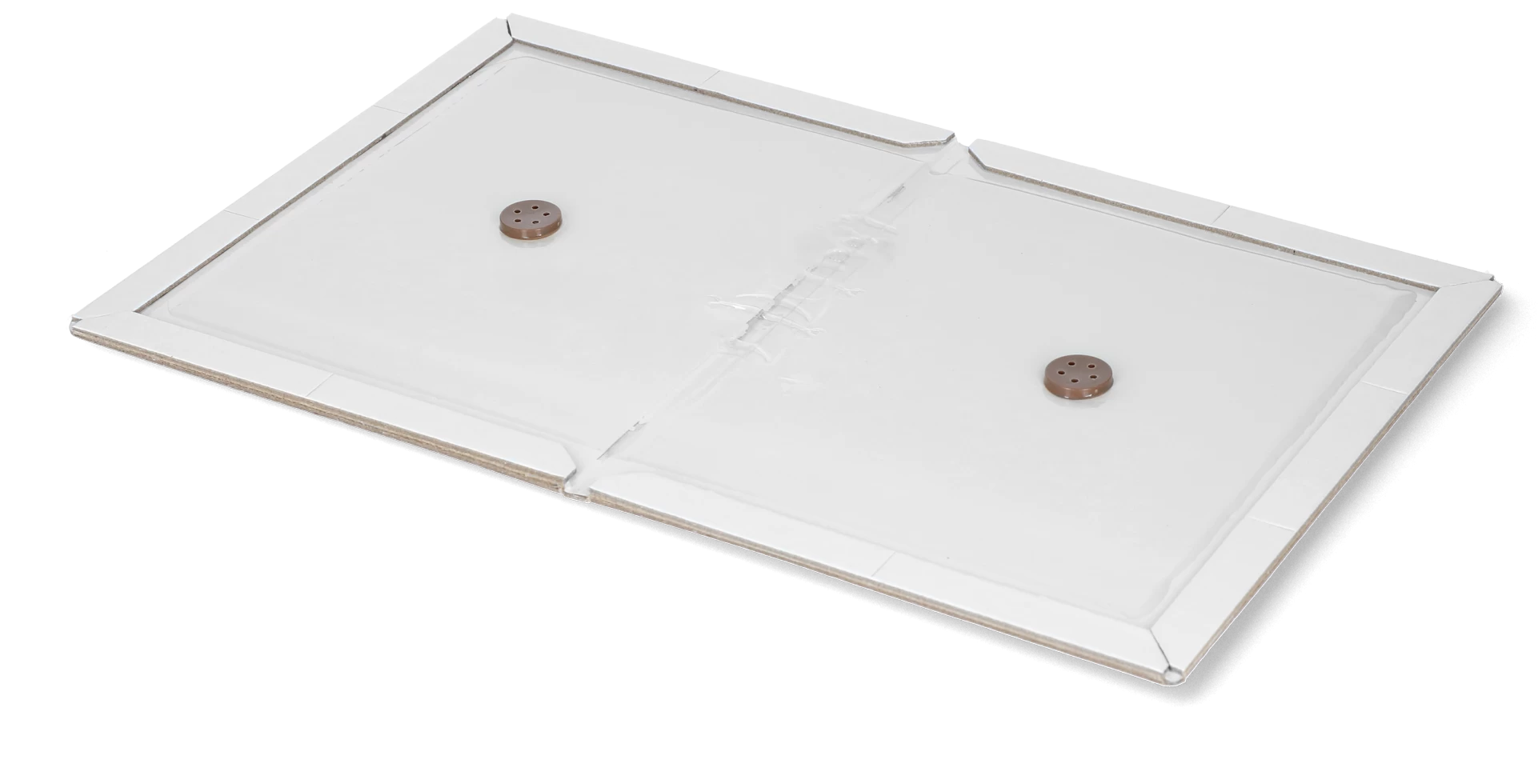 Insecten Lijmplaat Wit 3 Insecten Lijmplaat Wit