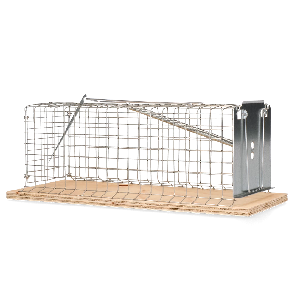 Shop comfortable Classic Rattenkooi at Cheap Prices - Pet Supplies Store