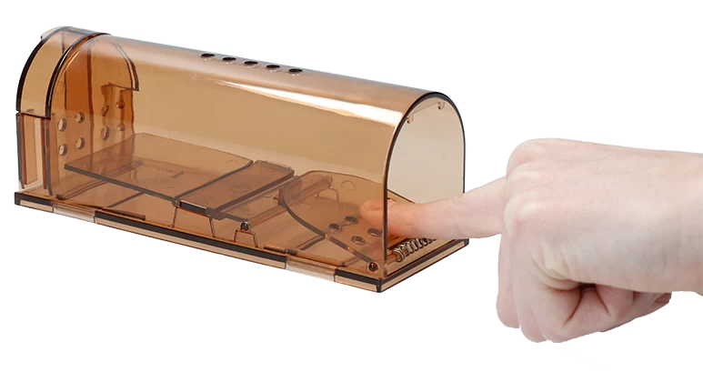 Knock Off Muizenval Levend 4 Knock Off Muizenval Levend - Image 2