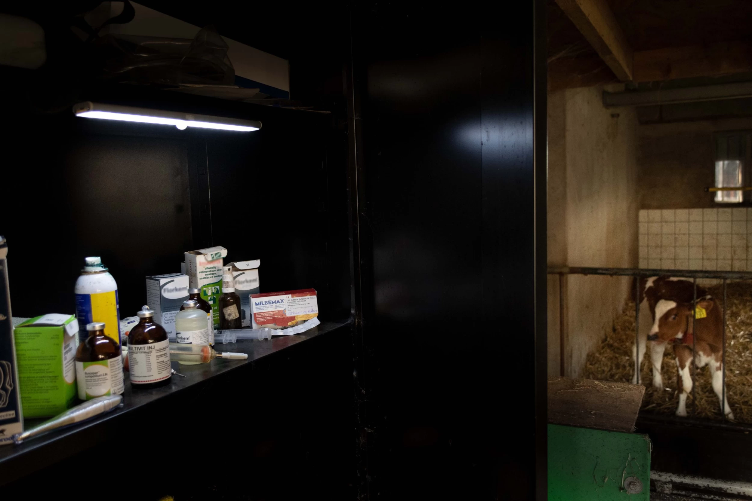 LED Is More 19 X 3 Cm (24 LED Lampen) 7 LED Is More 19 X 3 Cm (24 LED Lampen) - Image 5