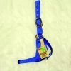 Hamilton Calf Blue Turnout Halter, 1 -Pet Supplies Store 347760 41381.1500584811