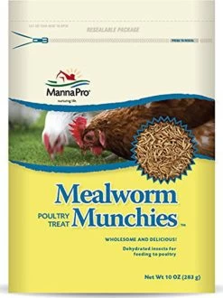 Mealworm Munchies