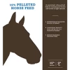 Nutrena Stock & Stable Pellet 12% Horse Feed -Pet Supplies Store 7537 21519.1680637696
