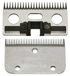 Constanta Rodeo R2 3mm 35/24tands