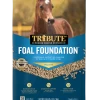 Kalmbach Tribute Foal Foundation Pelleted Horse Feed, 50lbs -Pet Supplies Store 9188199 30535.1680118119