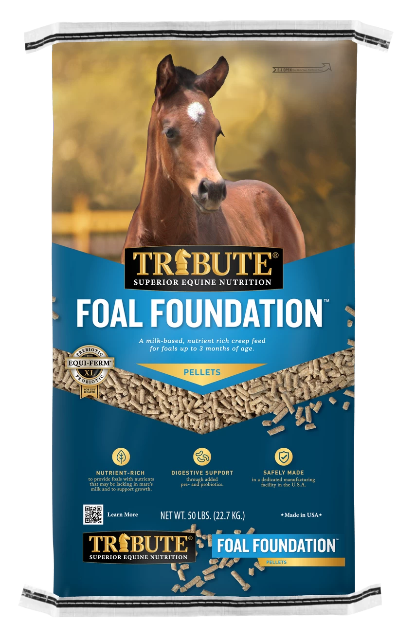 Kalmbach Tribute Foal Foundation Pelleted Horse Feed, 50lbs 3 Kalmbach Tribute Foal Foundation Pelleted Horse Feed, 50lbs