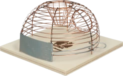 Muizenval Korf Levend "Luna"