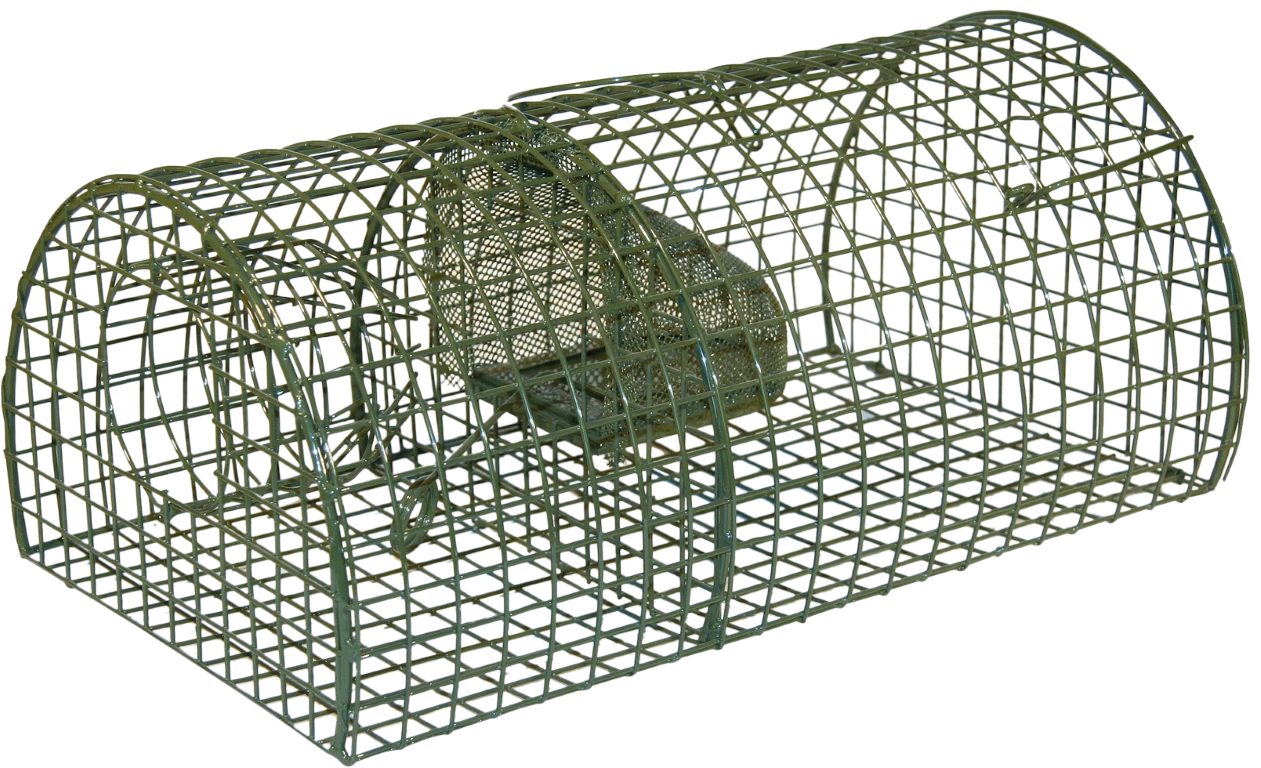 Rattenval Inloop Levend "Alive" Massa 3 Rattenval Inloop Levend "Alive" Massa