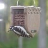 Recycled Shelled Peanut Feeder -Pet Supplies Store ACORNwWoodpecker