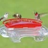 Jewel Box Window Hummingbird Feeder 1 Jewel Box Window Hummingbird Feeder -Pet Supplies Store ASP lrg 407 7e9f35c2 9fe6 4db7 aa2a c42e1fcc789a