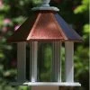 Azalea Bird Feeder In Vinyl/PVC -Pet Supplies Store Azalea 44191741 02c1 4a4f b1c5 f8db223073fa