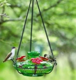 Bloom Perch Hummingbird Feeder- Aqua Or Green
