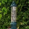 Squirrel Buster Plus With Optional Weather Guard 2 Squirrel Buster Plus With Optional Weather Guard -Pet Supplies Store BRM1024 color d7418b1f bcf7 45f0 a87d a292fda24e68