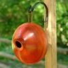 Ellipse Wooden Birdhouse- 3 Colors 1 Ellipse Wooden Birdhouse- 3 Colors -Pet Supplies Store BYR ellipse
