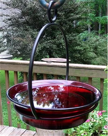 Glass Globe Dish Feeder/Mini-Bath- Red Or Lime 4 Glass Globe Dish Feeder/Mini-Bath- Red Or Lime - Image 2