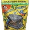 Bluebird Nuggets Plus