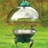 Big Top Squirrel Proof Bird Feeder -Pet Supplies Store DYBTG