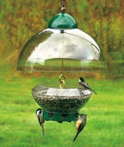 Big Top Squirrel Proof Bird Feeder 3 Big Top Squirrel Proof Bird Feeder