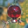 Dew Drop Ruby Red Hummingbird Feeder