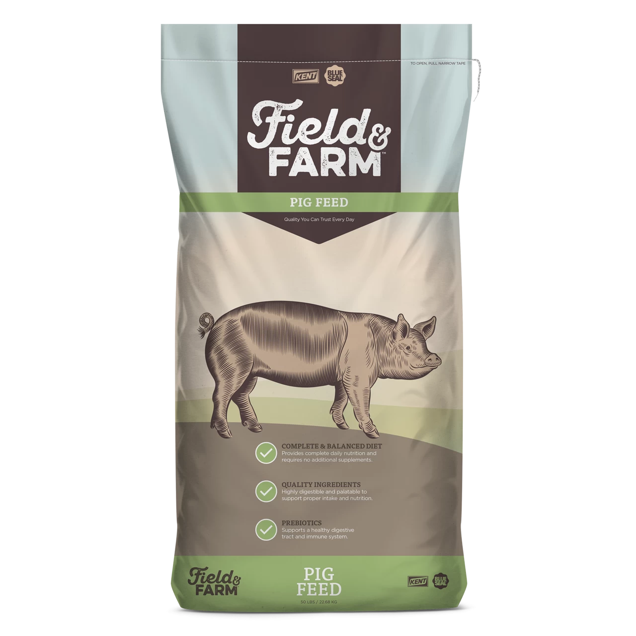 Field & Farm Adult Sow And Boar 3 Field & Farm Adult Sow And Boar