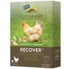 FlockLeader RECOVER Mild Stress Probiotic Supplement -Pet Supplies Store FlockleaderRecover
