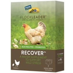 FlockLeader RECOVER Mild Stress Probiotic Supplement