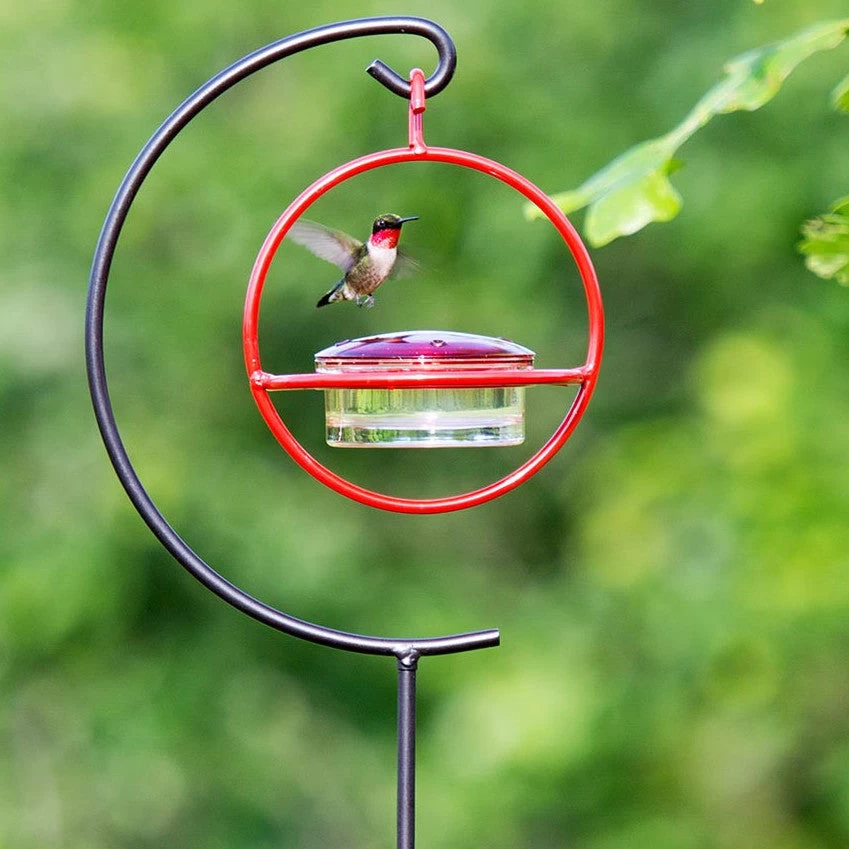 Red Orb With Perch Hummingbird Feeder 4 Red Orb With Perch Hummingbird Feeder - Image 2
