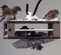 Gilbertson Hanging Bluebird Feeder