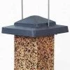 Vista Squirrel Proof Bird Feeder 1 Vista Squirrel Proof Bird Feeder -Pet Supplies Store HF75160