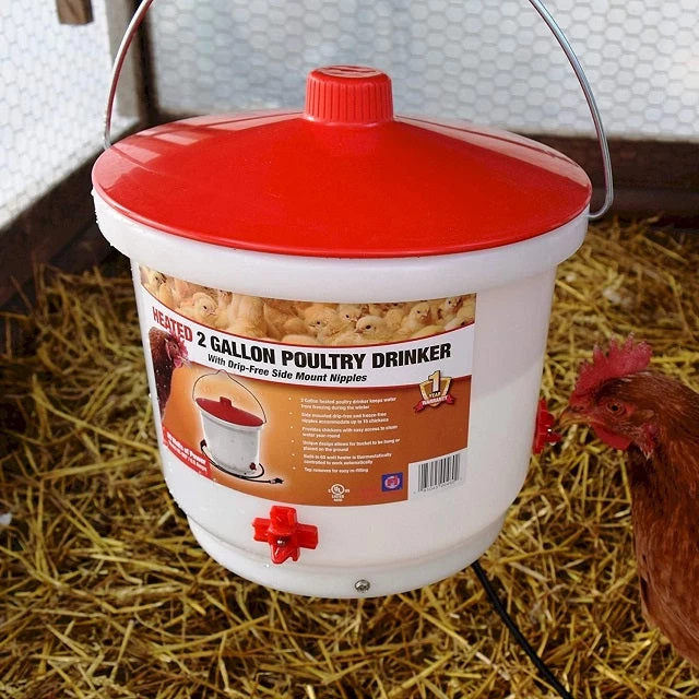 Heated Poultry Drinker, 2 Gallon 7 Heated Poultry Drinker, 2 Gallon - Image 5